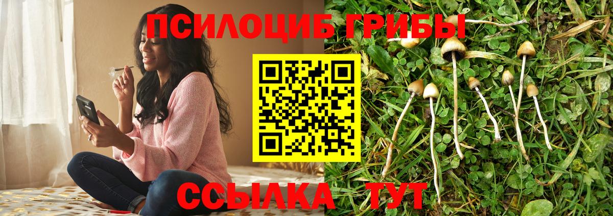 Раменское  Псилоцибиновые грибы прущие грибы  Вход с VPN  Галлюциногенные грибы MAGIC MUSHROOMS 