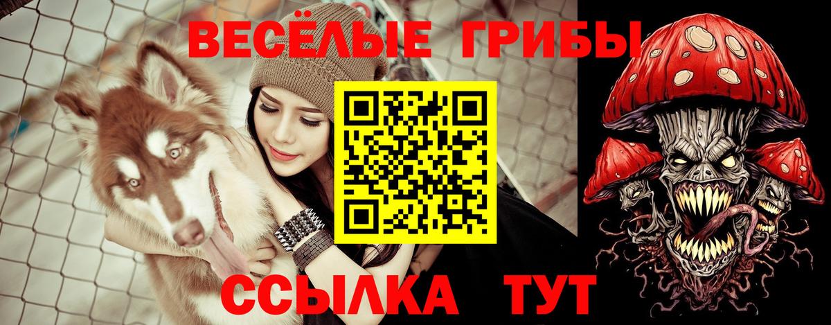 Alpha PVP Раменское